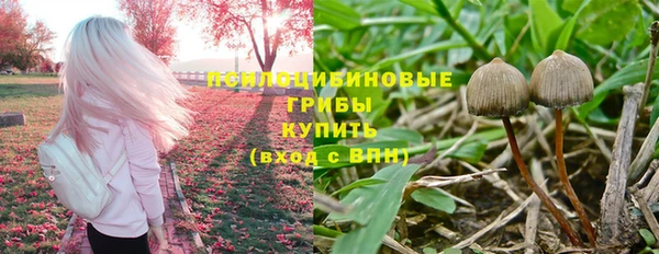 прущий лед Алексеевка