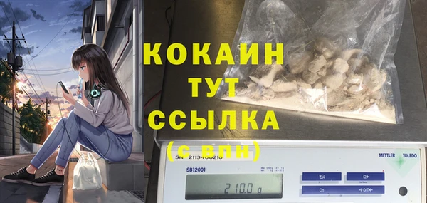 твердый Армянск