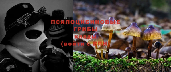 apvp Алзамай