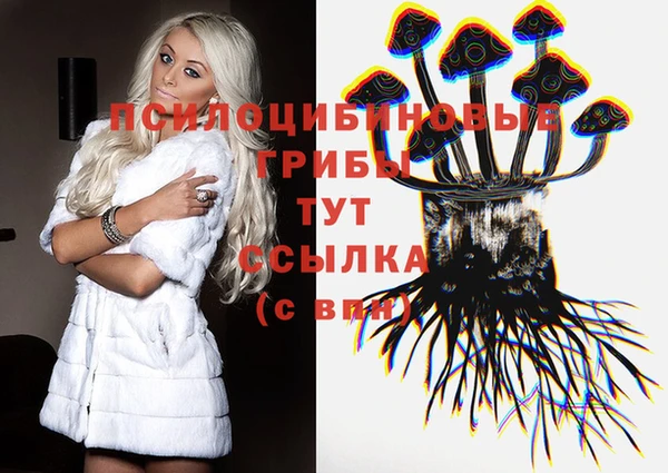 apvp Алзамай