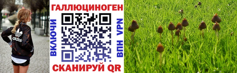 Галлюциногенные грибы Psilocybine cubensis  Сим 