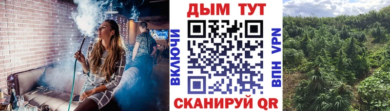 Бошки марихуана планчик как найти закладки Сим